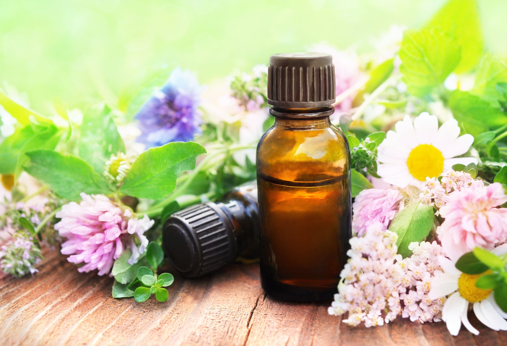 Essential oils on medicinal flowers and herbs background: chamomile, clover, calendula, yarrow